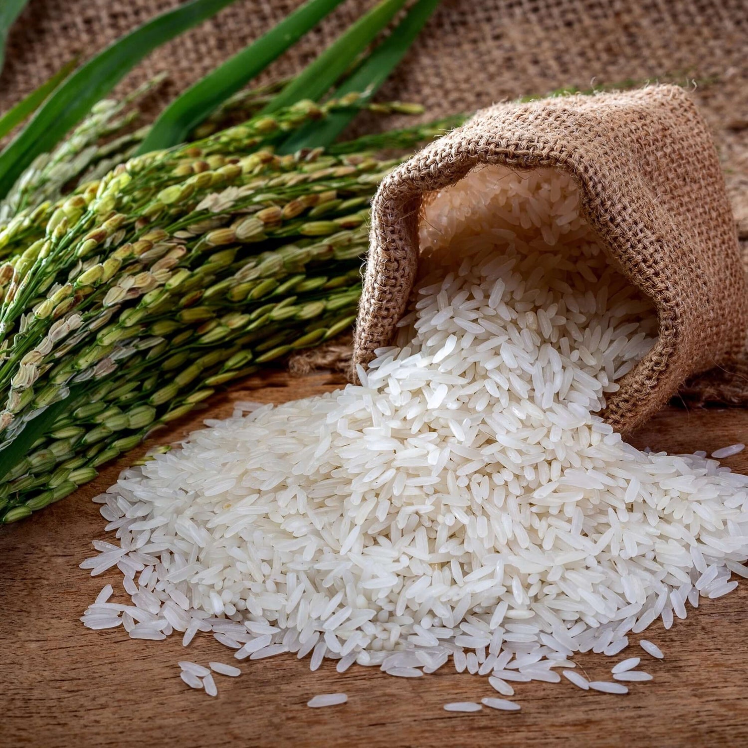 Nature Zen Origin - Protéine de riz en poudre - Naturelle